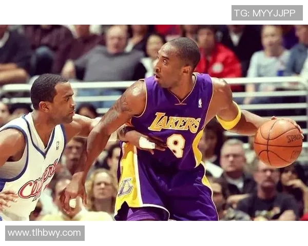 02篮球明星的辉煌历程与传奇故事探秘篮球世界的巨星魅力与影响力